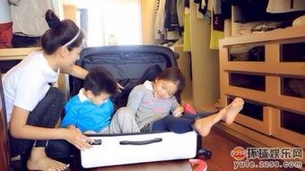 刘涛儿子个人资料